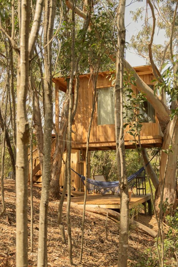 Soul Farm Algarve - Glamping & Farm Houses Aljezur Exterior foto